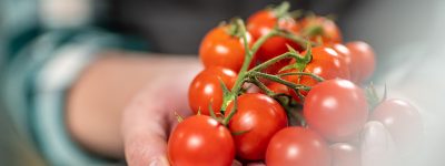 tomates-cereja-FUNIBER