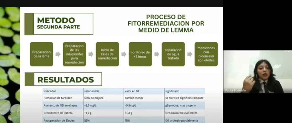 Efeitos da contaminação por nanopartículas de plástico em plantas aquáticas – ISM Campus North (Equador).