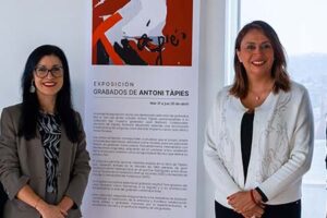 portal-noticia