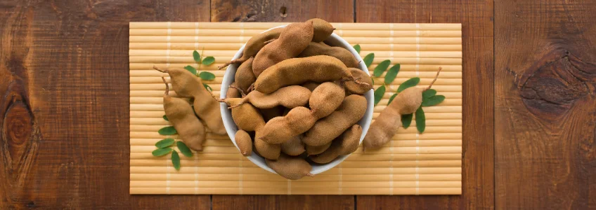 O diretor da FUNIBER Itália participa num estudo que analisa o potencial naturacêutico do tamarindo e a sua relação com a saúde humana